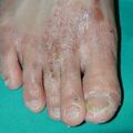 misuse_cereg020703-1.jpg