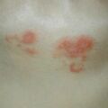 misuse_chmarong011213-2.jpg