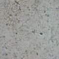 misuse_clobegen020525-2.jpg