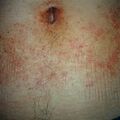 misuse_cutivate9-529.jpg