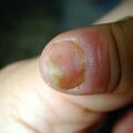 misuse_doremi010420.jpg