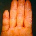 misuse_elpason9-47.jpg