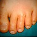 misuse_elpason9-471.jpg