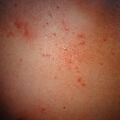 misuse_elpason9-790.jpg