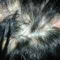 misuse_furuncle010223.jpg