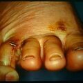 misuse_jungro9-749.jpg