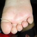 misuse_lavenda020716.jpg