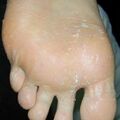 misuse_lavenda020828-1.jpg