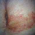 misuse_lavender9-463.jpg