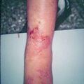 misuse_manul9-700.jpg