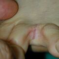 misuse_mujonal020820-2.jpg