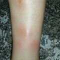 misuse_mulpass020719-1.jpg
