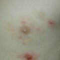 misuse_nobason020720-1.jpg
