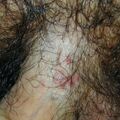 misuse_nobason020812.jpg
