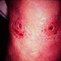 misuse_para9-1108.jpg