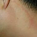 misuse_parason020830.jpg