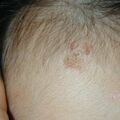 misuse_preca020812-2.jpg