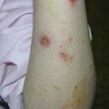 misuse_predi020506.jpg