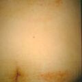 misuse_predni9-764.jpg