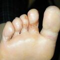 misuse_rosil020807-2.jpg
