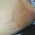misuse_scang020121-1.jpg