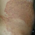 misuse_serna020613-2.jpg
