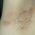 misuse_sinsin020218-1.jpg