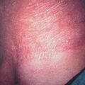 misuse_sinsin2000-111.jpg