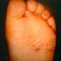 misuse_terbina9-482.jpg