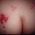 misuse_titibe2000-277.jpg