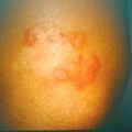 misuse_trigenta9-893.jpg