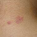 misuse_velodan020814-2.jpg