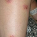 misuse_velodan020814-3.jpg