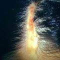 morphea_linear3-558.jpg