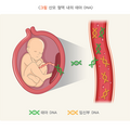 non-invasive_prenatal_testing_4247.png