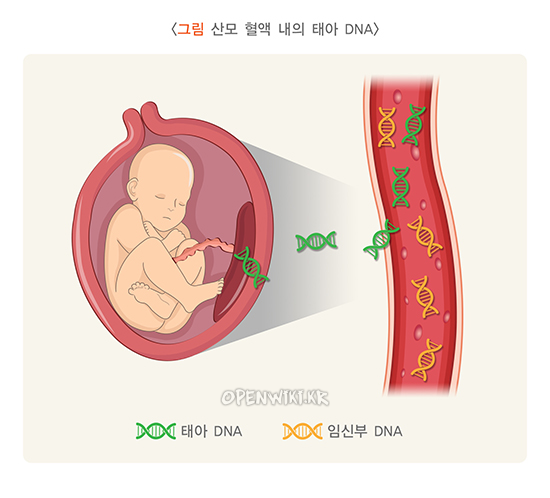 non-invasive_prenatal_testing_4247.png