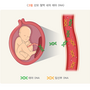 non-invasive_prenatal_testing_4247.png