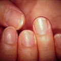 pittednail9-755.jpg