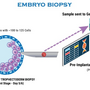preimplantation_genetic_diagnosis_5222.png