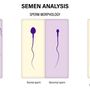 semen_analysis.jpg