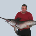 swordfish.jpg