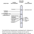 the_mcgill_pain_index.png