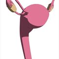 uterus.jpg