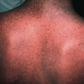 v_l_20140529-123809.png