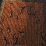 substancecockroach.png