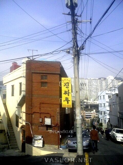 진짜루.jpg