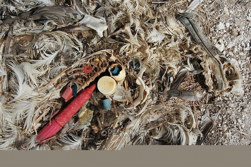 plastic_ocean_06.jpg
