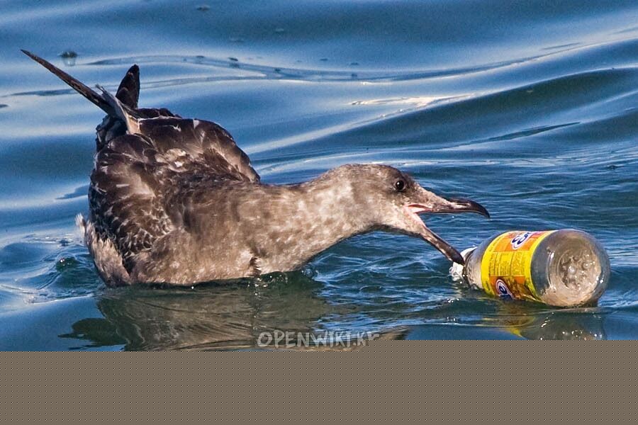 plastic_ocean_13.jpg